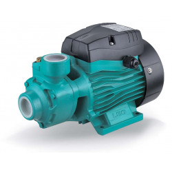 Pompe périphérique APM037