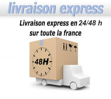 Pompes Shurflo, livraison en 24/48 heures